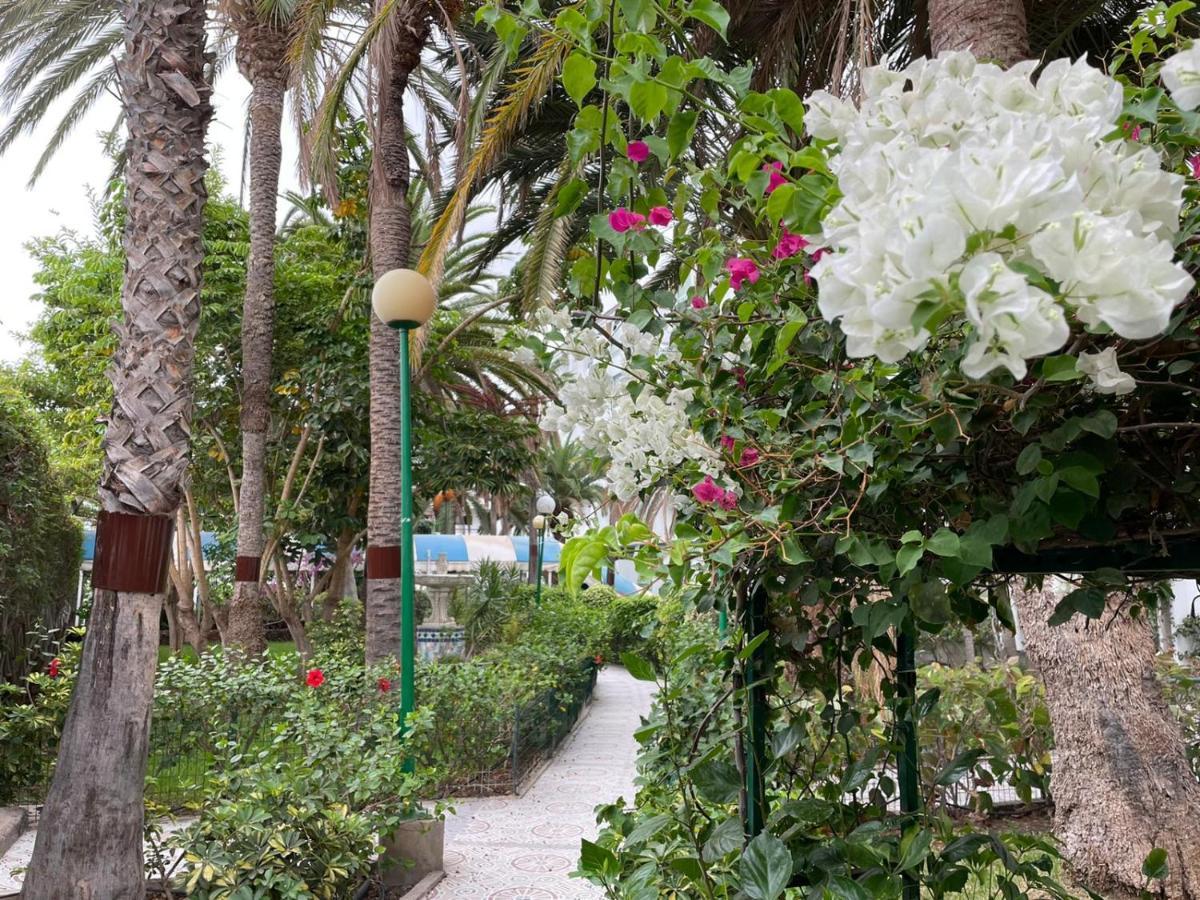 Surycan Tropical Garden Apartment Плая дел Инглес Екстериор снимка