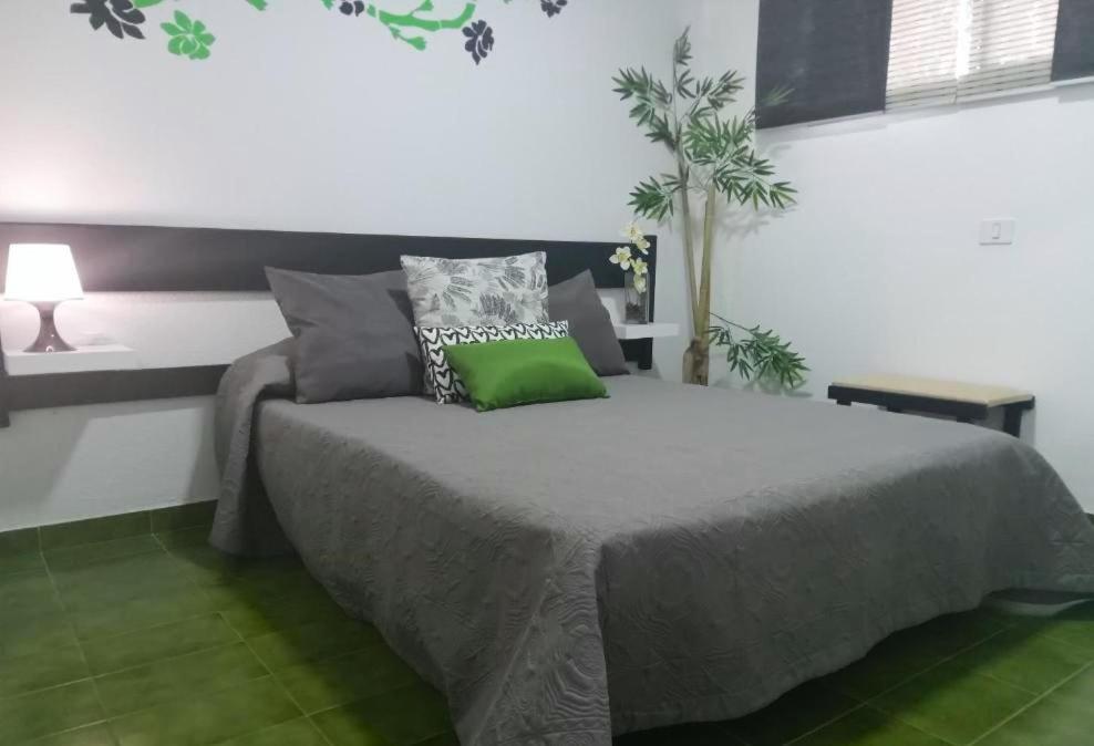 Surycan Tropical Garden Apartment Плая дел Инглес Екстериор снимка